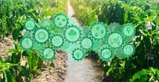 responsabilidade ambiental e suas análises