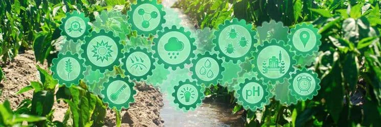 responsabilidade ambiental e suas análises